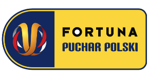 Puchar Polski