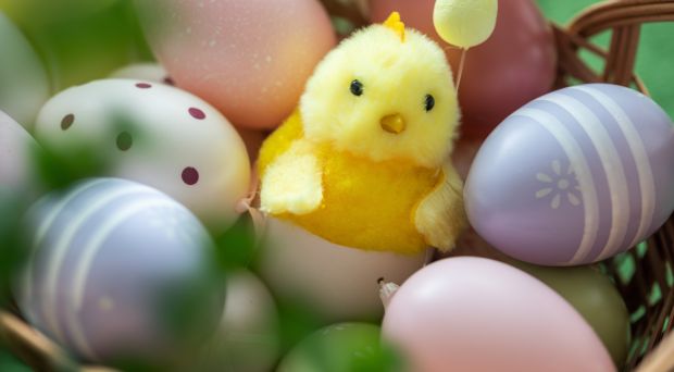 Zdrowych i spokojnych Świąt Wielkanocnych!