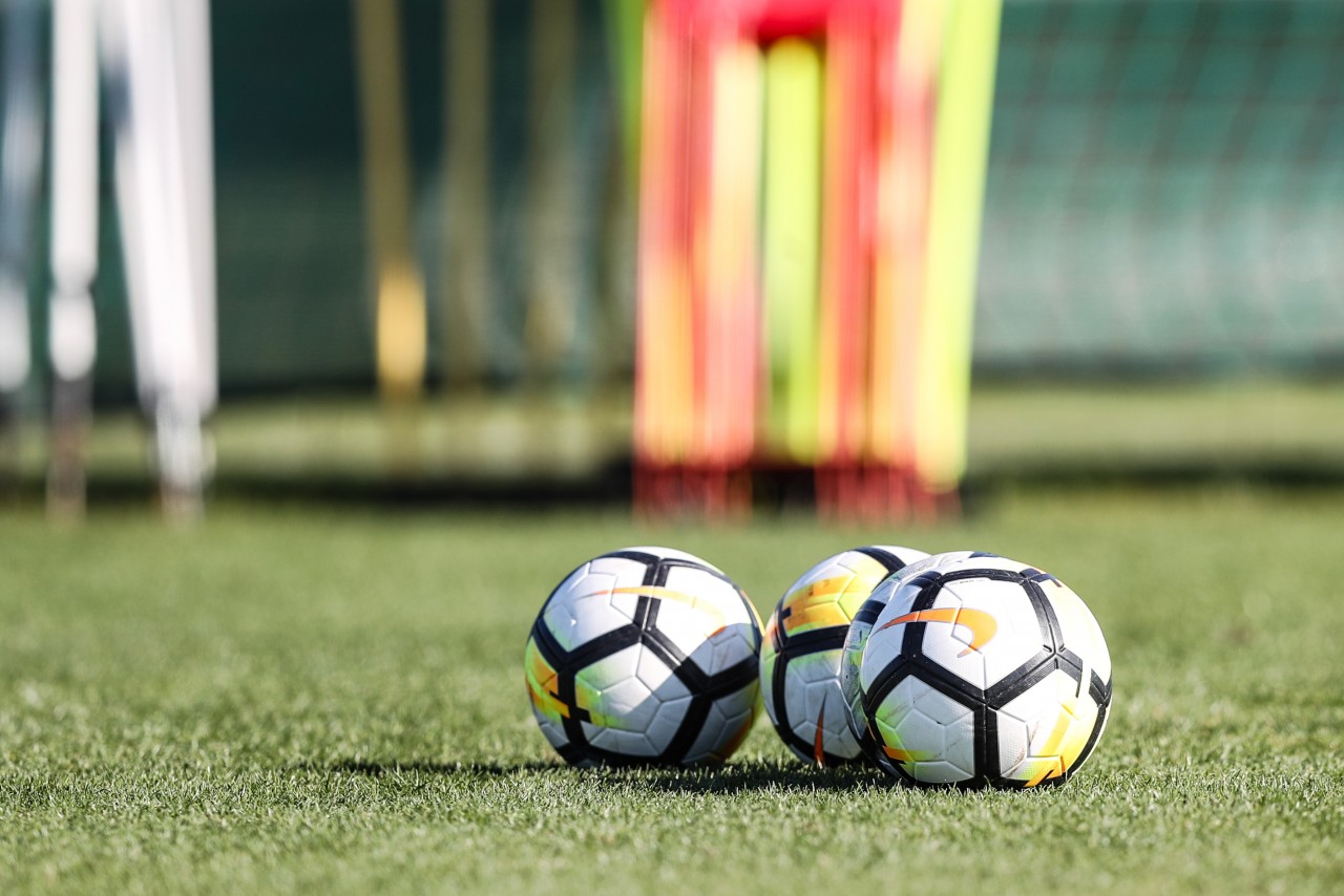 Club Manager 2019 Download Pobierz Za Darmo