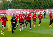 Asystent Kibica na mecz z Finlandią